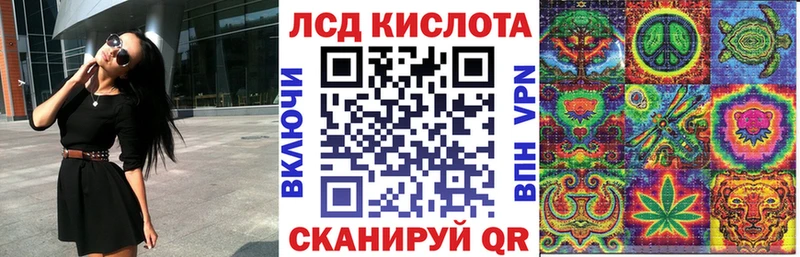 кракен как зайти  Дубовка  Наркотические марки 1,8мг 
